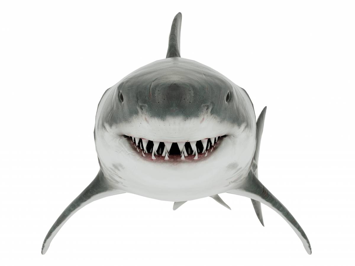 Odontologia y Cosmetica