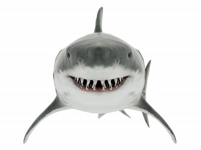 Dentistry and Cosmetics