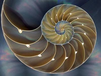 Design and molding third parties